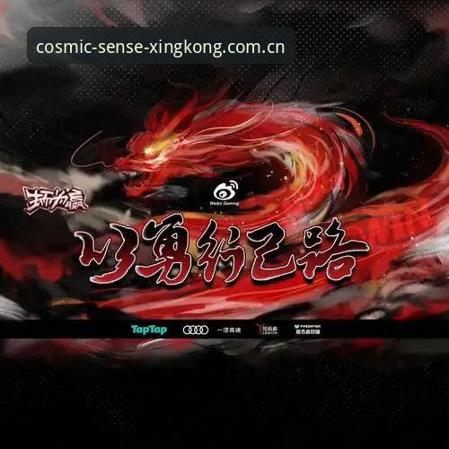星空体育入口官方赛事替代站实测详解：选错入口比选错平台更致命